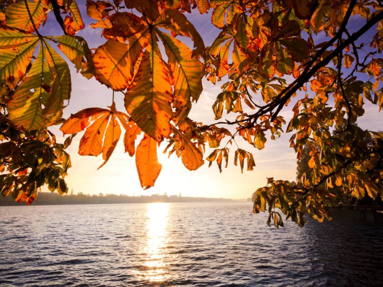 Maschsee im Herbst